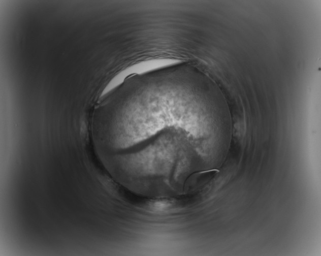 X0000088060662200705251343