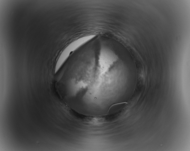 X0000088060663200705251343