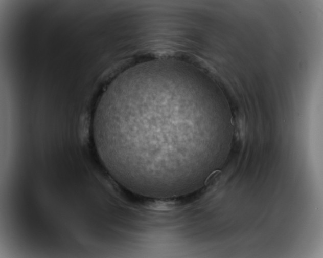 X0000088060664200705251343