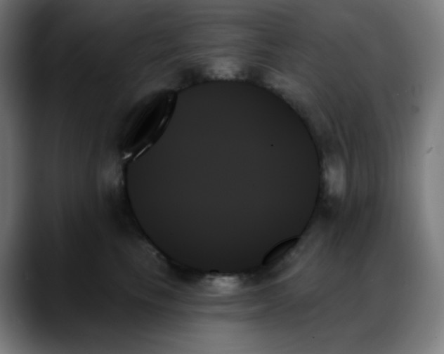 X0000088060665200705251343