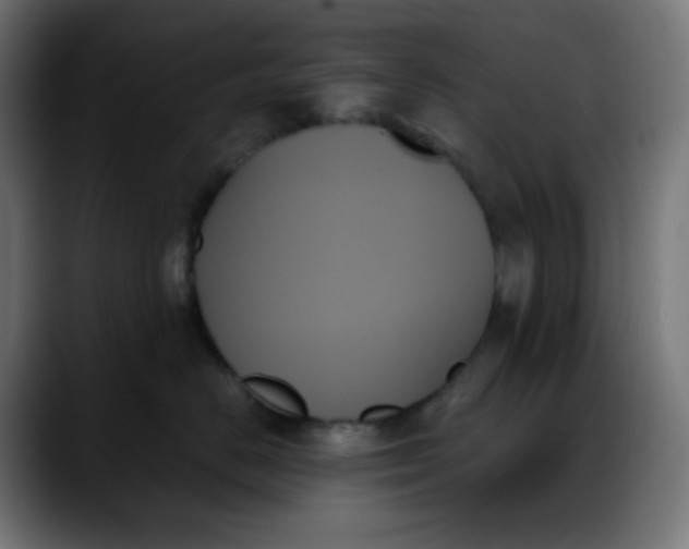 X0000088060670200705251343