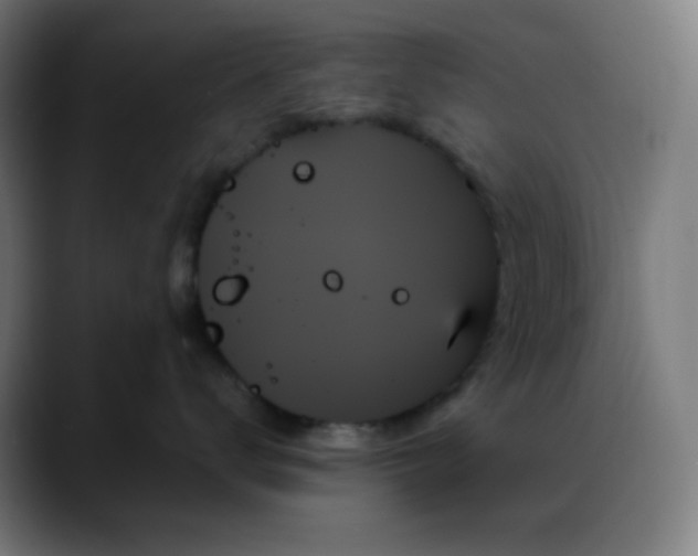 X0000088060672200705251343