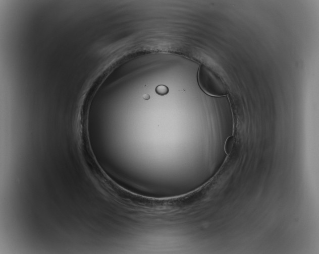 X0000088060674200705251343