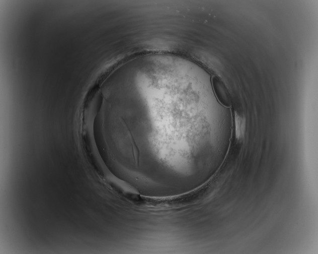 X0000088060675200705251343
