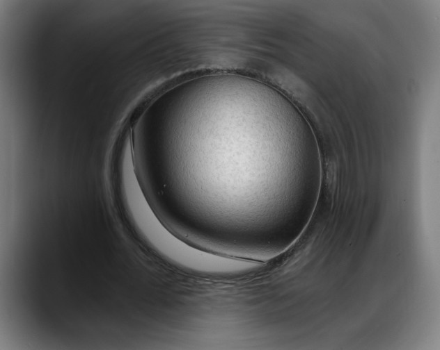 X0000088060676200705251343