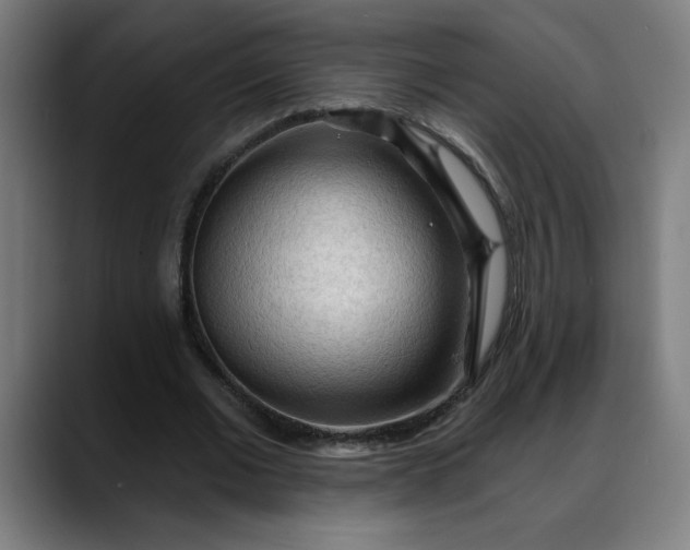 X0000088060677200705251343