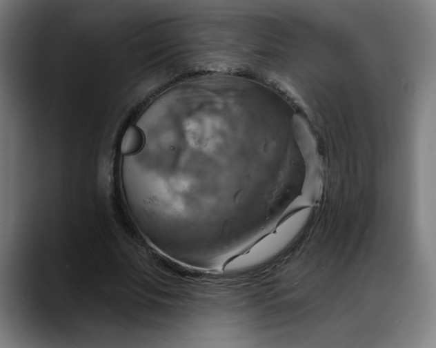 X0000088060679200705251343