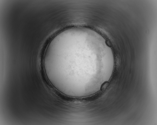 X0000088060684200705251343