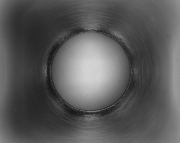 X0000088060686200705251343
