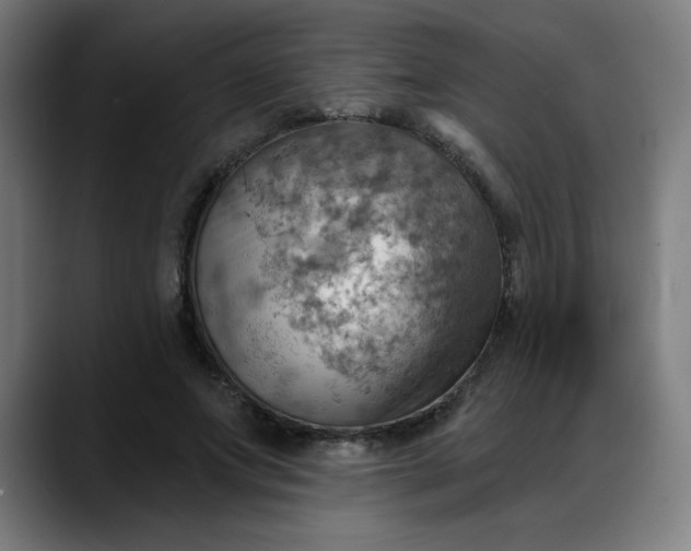 X0000088060687200705251343