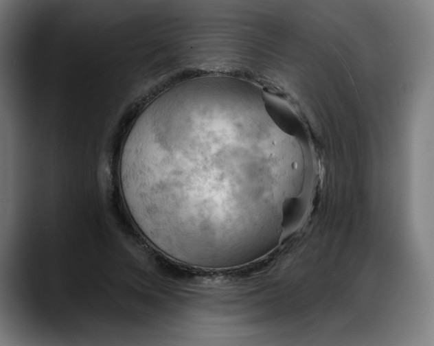 X0000088060688200705251343