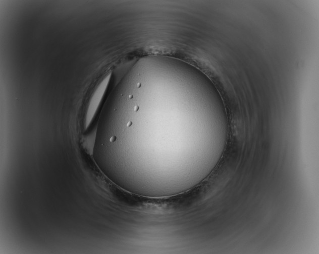 X0000088060690200705251343