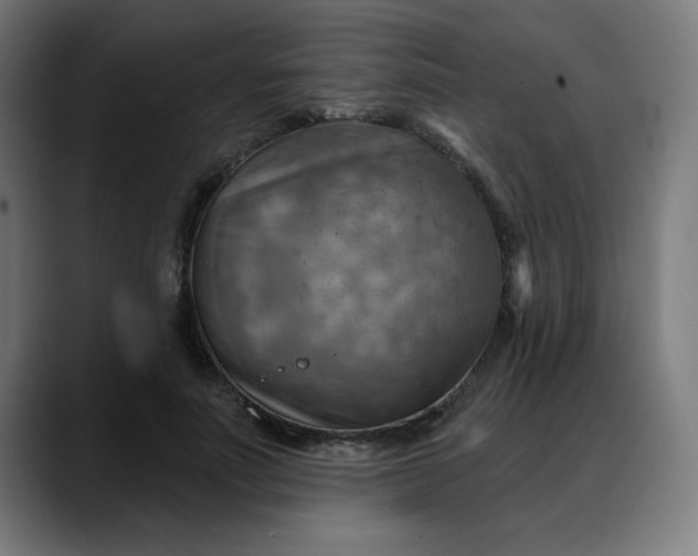 X0000088060691200705251343