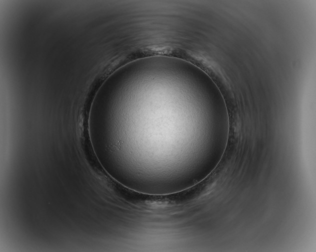 X0000088060693200705251343