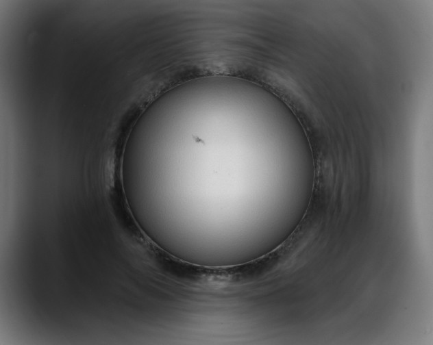 X0000088060694200705251343