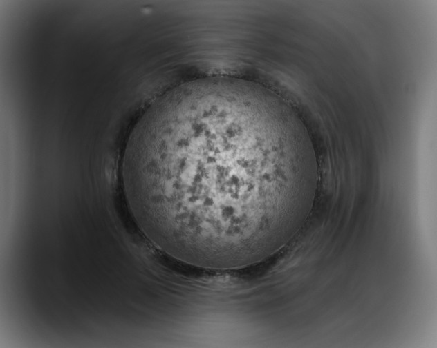 X0000088060695200705251343