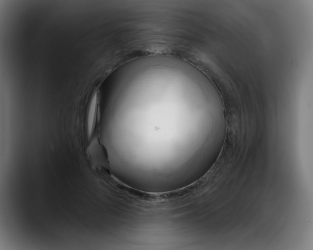 X0000088060696200705251343