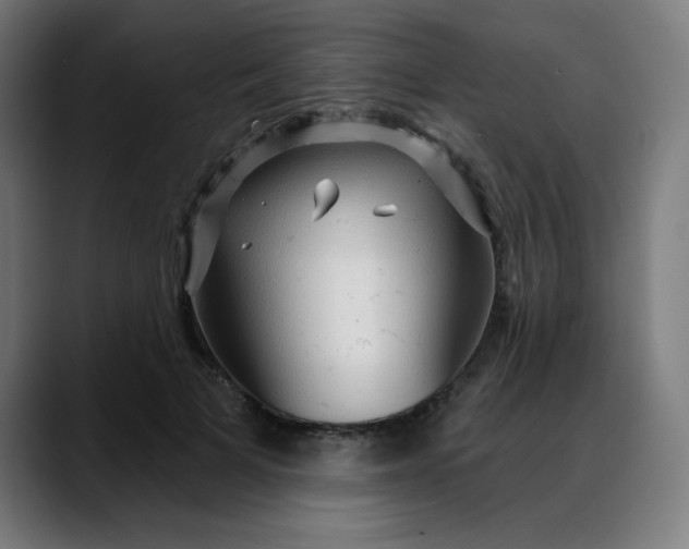 X0000088060697200705251342