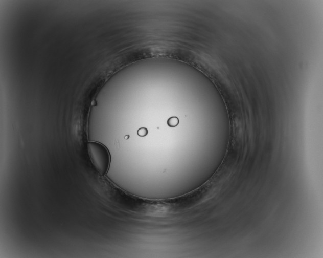 X0000088060698200705251342