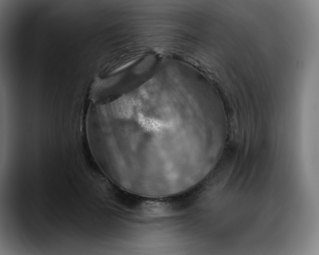 X0000088060699200705251342