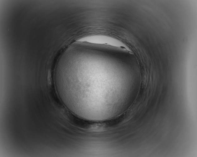 X0000088060700200705251342