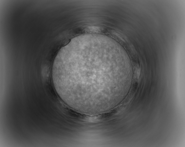 X0000088060701200705251342