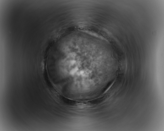 X0000088060703200705251342