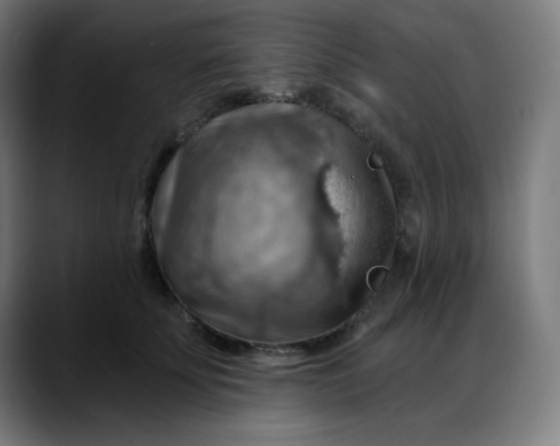 X0000088060707200705251342