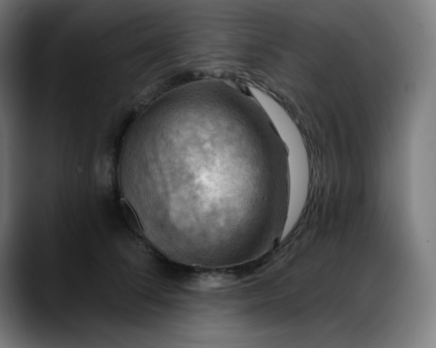 X0000088060708200705251342