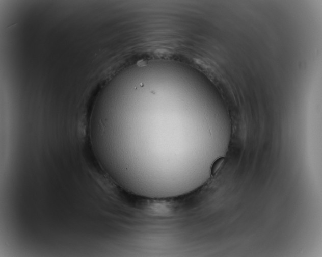 X0000088060710200705251342