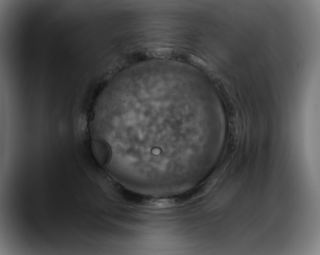 X0000088060711200705251342
