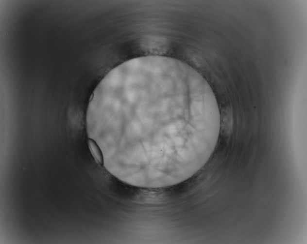 X0000088060713200705251342