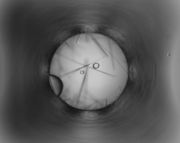 X0000088060714200705251342