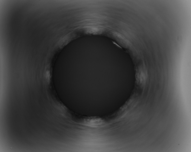 X0000088060716200705251342