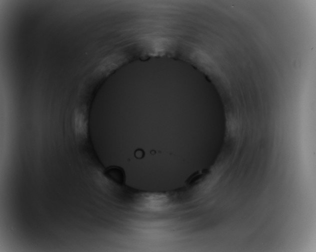 X0000088060719200705251342