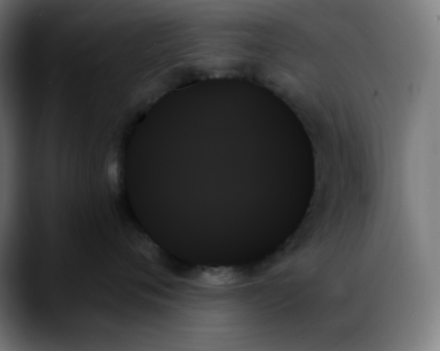 X0000088060720200705251342