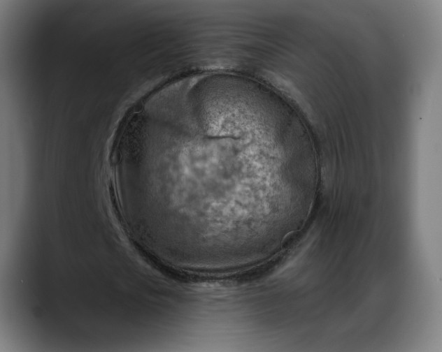 X0000088060721200705251342