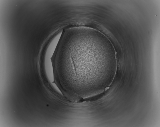 X0000088060722200705251342