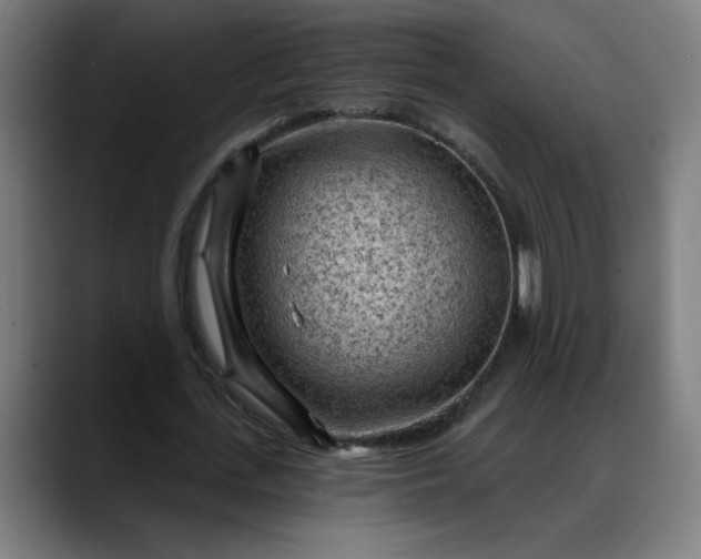 X0000088060723200705251342