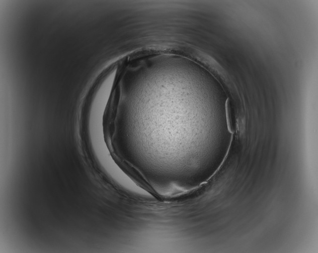 X0000088060724200705251342