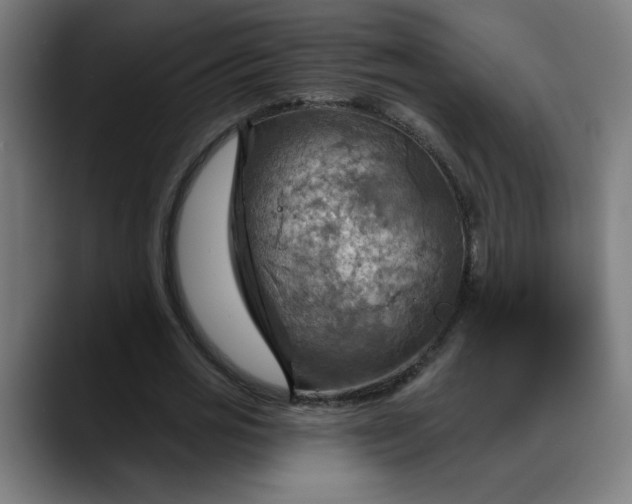 X0000088060725200705251342