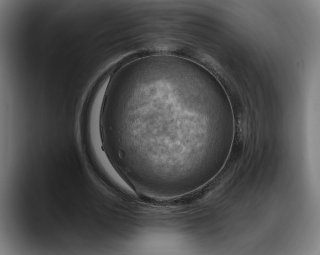 X0000088060726200705251342