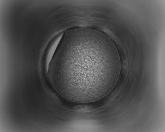 X0000088060727200705251342