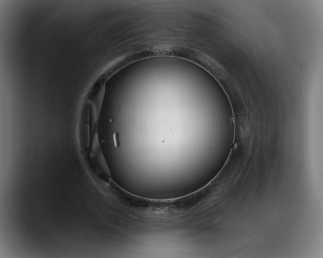 X0000088060728200705251342
