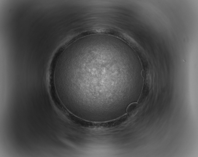 X0000088060730200705251342