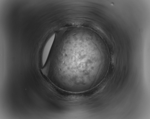 X0000088060733200705251342