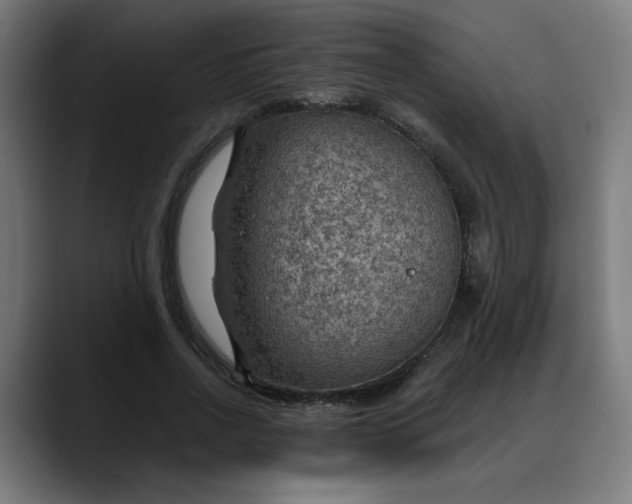 X0000088060734200705251342