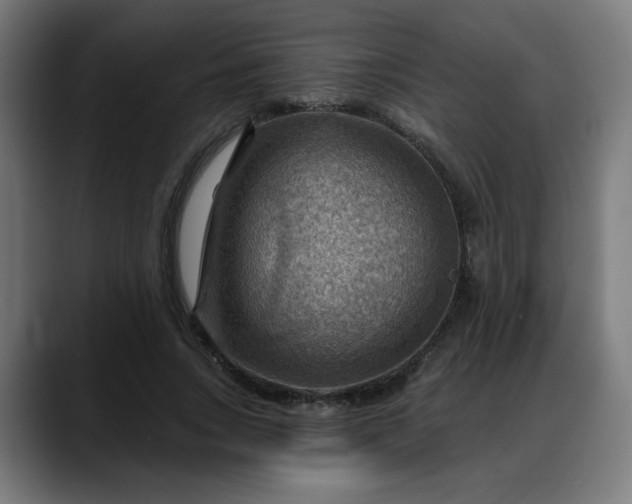 X0000088060735200705251342