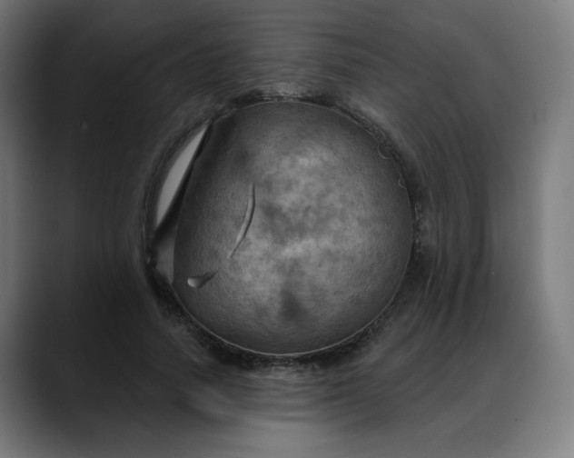 X0000088060738200705251342