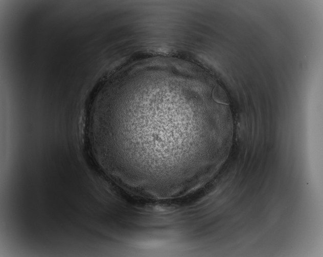 X0000088060739200705251342